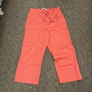 Liverpool Rust Crop Pants size 10/30